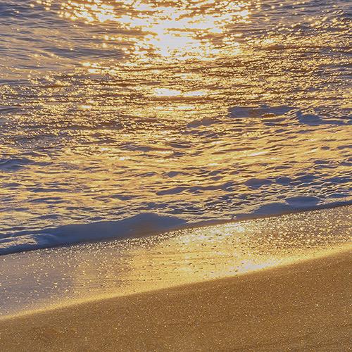 有没有什么惊艳的微信头像?-特别惊艳到人的微信头像