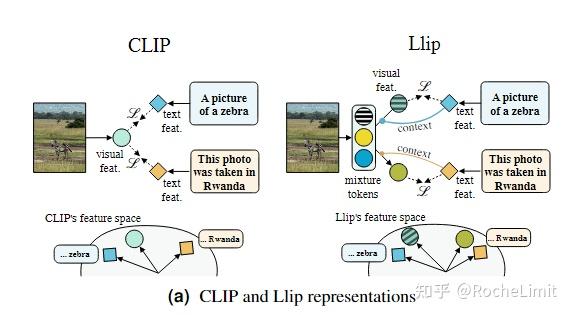 Modeling Caption Diversity in Contrastive Vision-Language Pretraining - 知乎