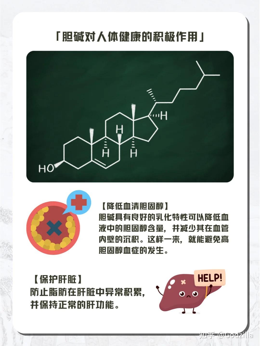 胆碱到底有什么作用? - 知乎