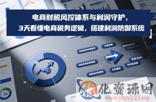 电商财税风控体系与利润守护，3天看懂电商税务逻辑，搭建利润防御系统