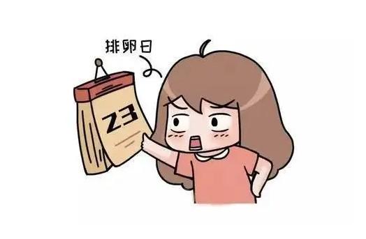 女人排卵期怎么算?
