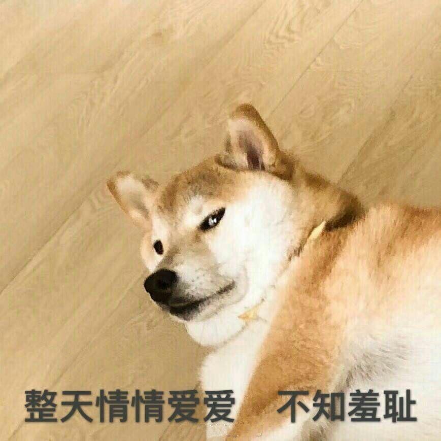 有没有表示不想谈恋爱的表情包啊我真的求求求求