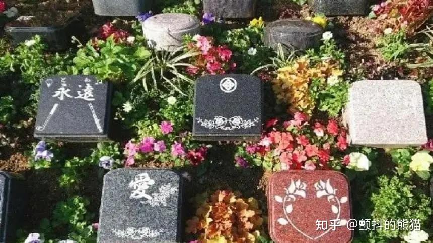 为什么日本开始流行“树葬”？ - 知乎