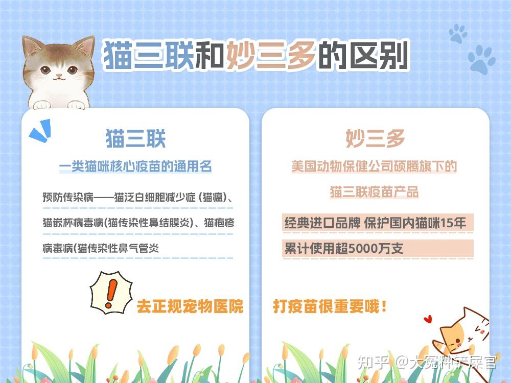 猫三联是妙三多吗,猫三联和妙三多的区别是什么? - 知乎