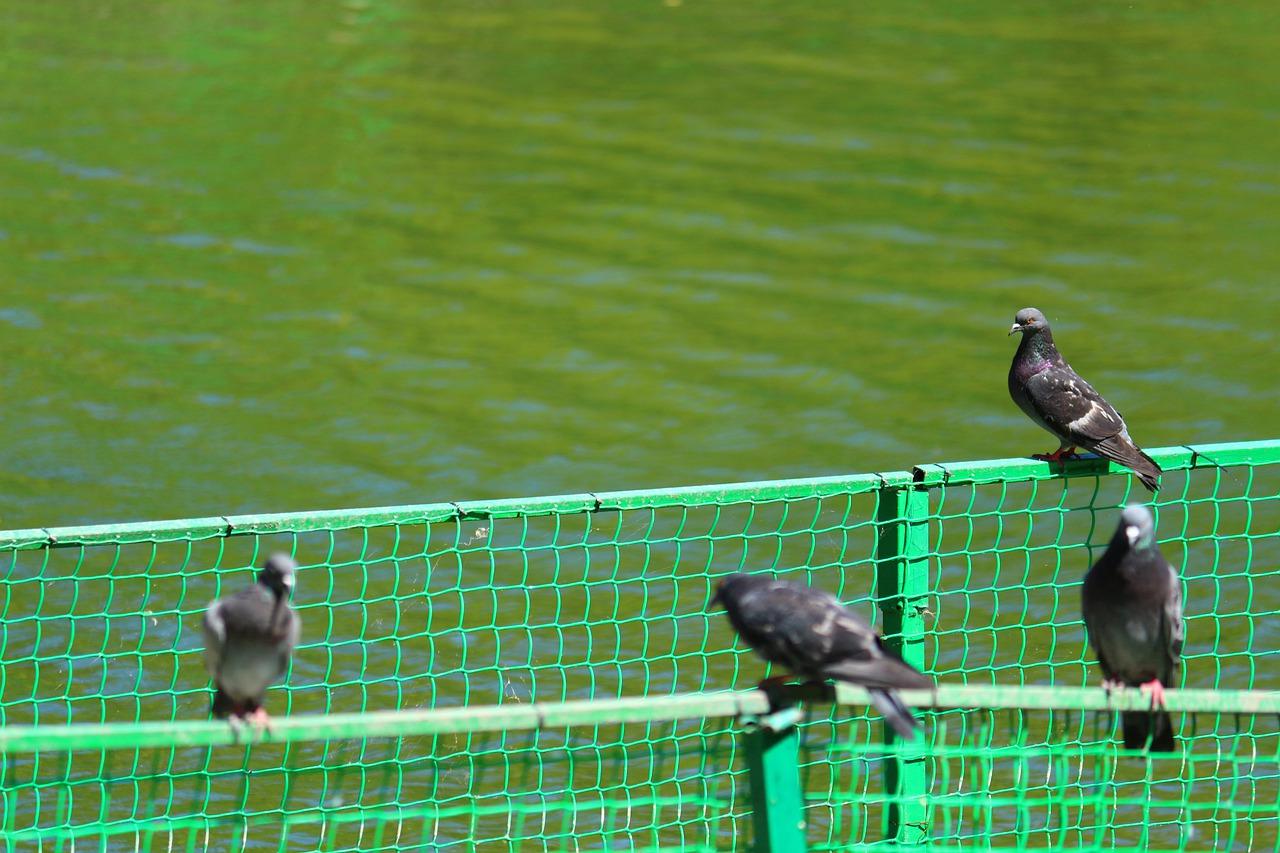 4. 环境景观优美