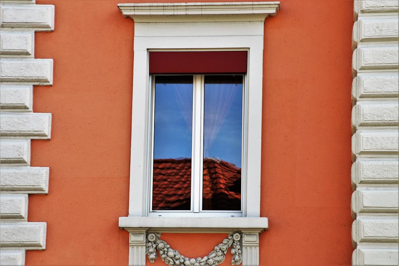 北京尼格主要经营什么