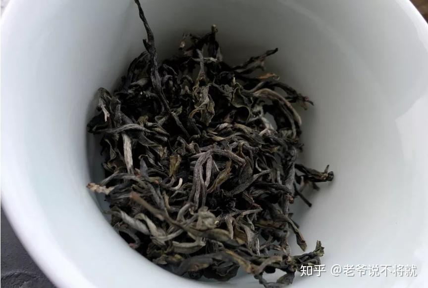 绵延到雨林深处的倚邦麻栗树|三茶六局第20局 - 知乎