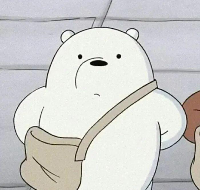 收集咱们裸熊的头像