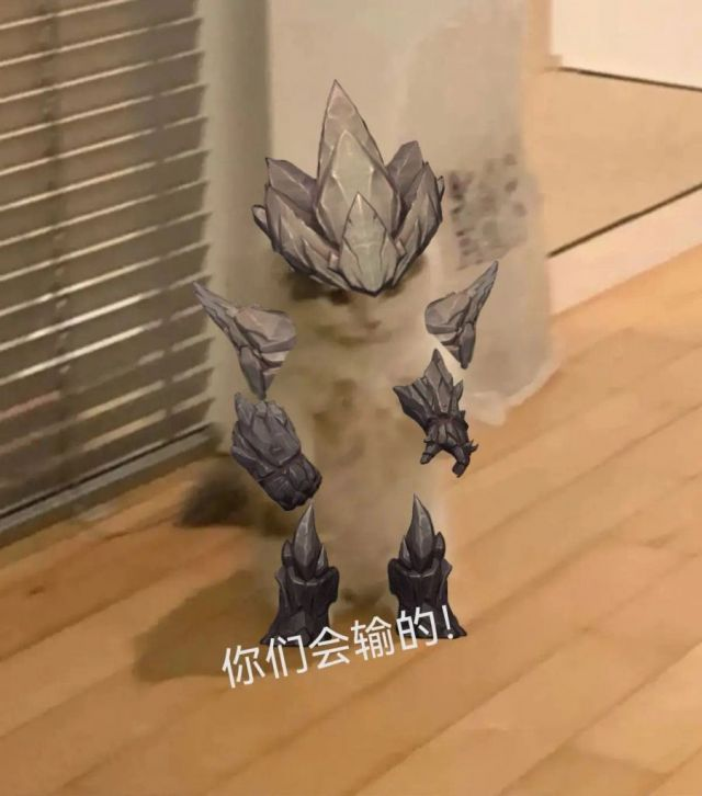 你都有哪些英雄联盟魔法猫咪的表情包