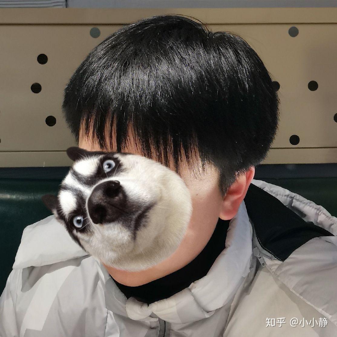 男生头发又细又直,弄什么发型好? - 知乎