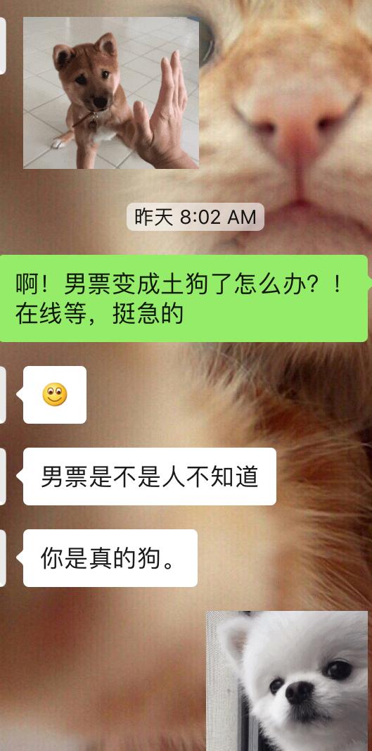 有个年下小狼狗男友是什么体验