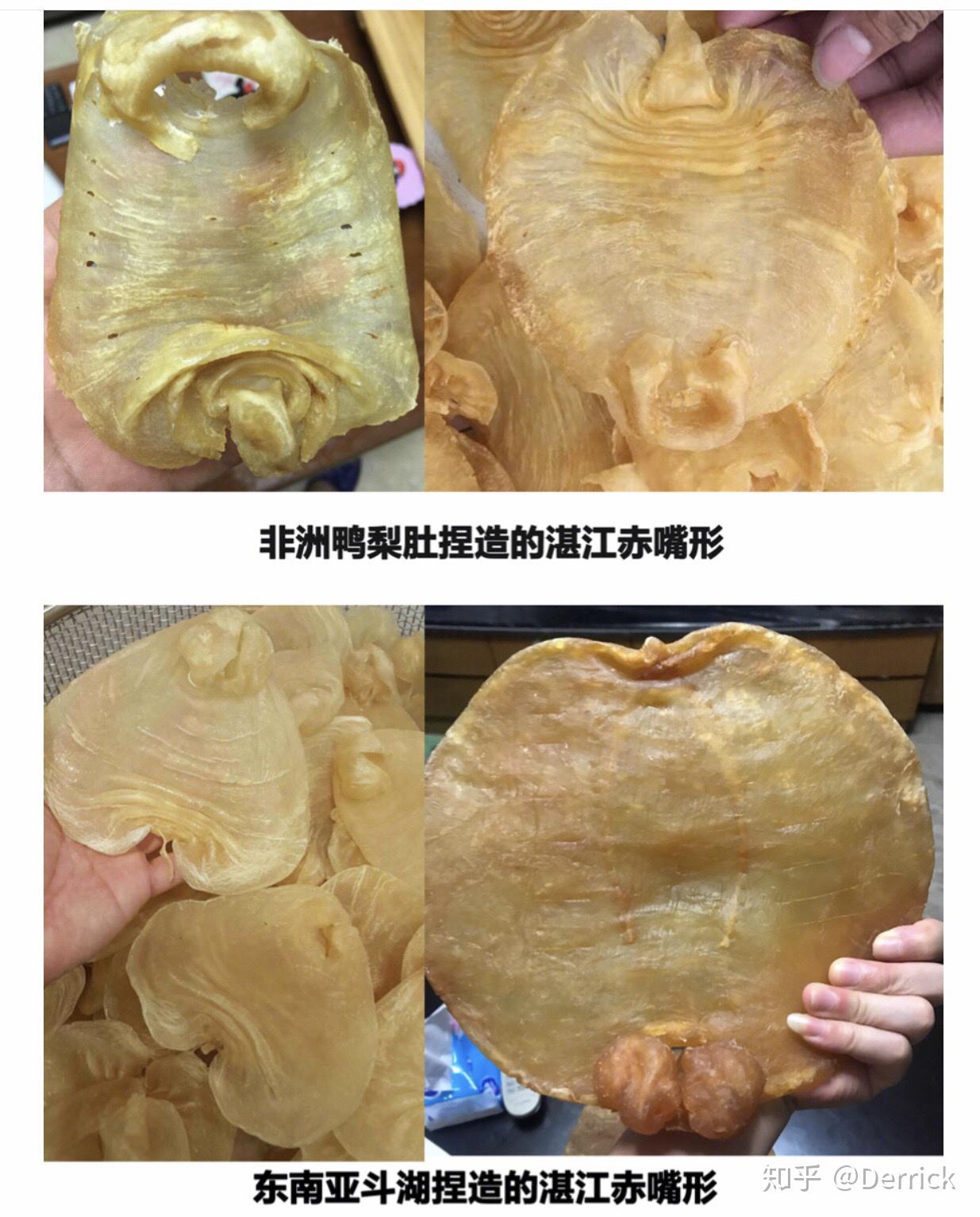 全网最专业详细的花胶鉴别手册10000字总结 - 知乎