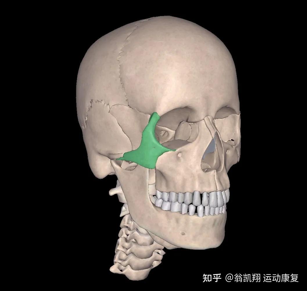 颧骨突出，看起来凶神恶煞？想解决只能靠这几招了！ - 知乎
