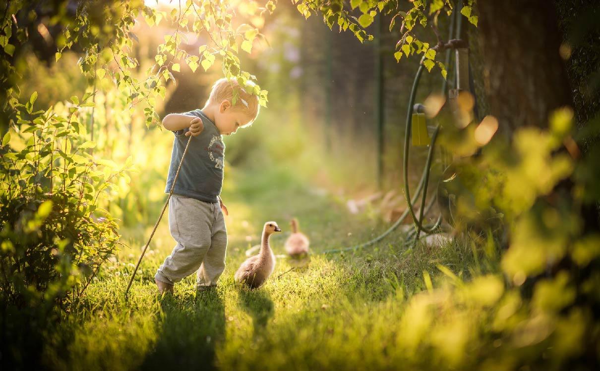 v2-4cb45727d5199e3d234f8fe61d0c6b0f_1440w.jpg?source=172ae18b