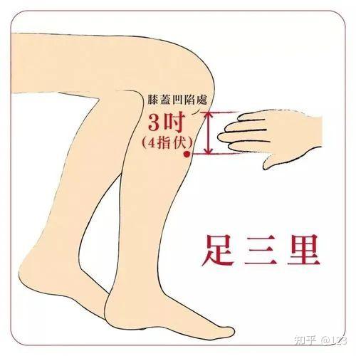 春节后怎么在家调节脾胃? - 知乎