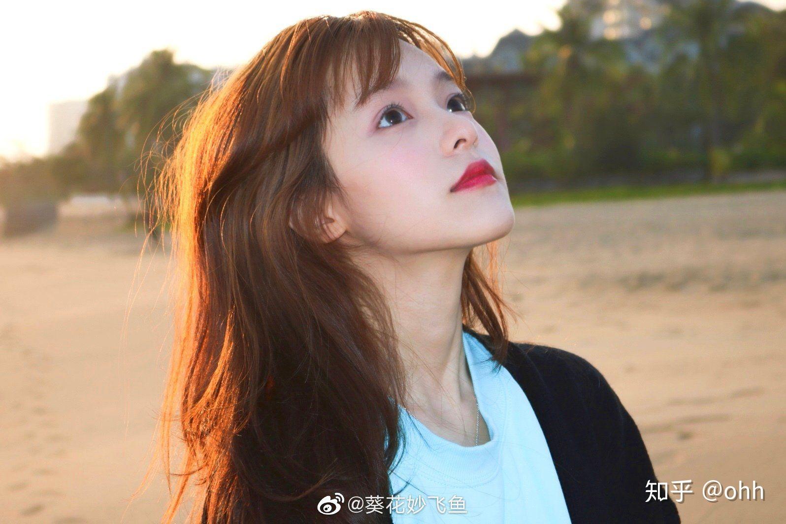 如何评论葵花妙飞鱼