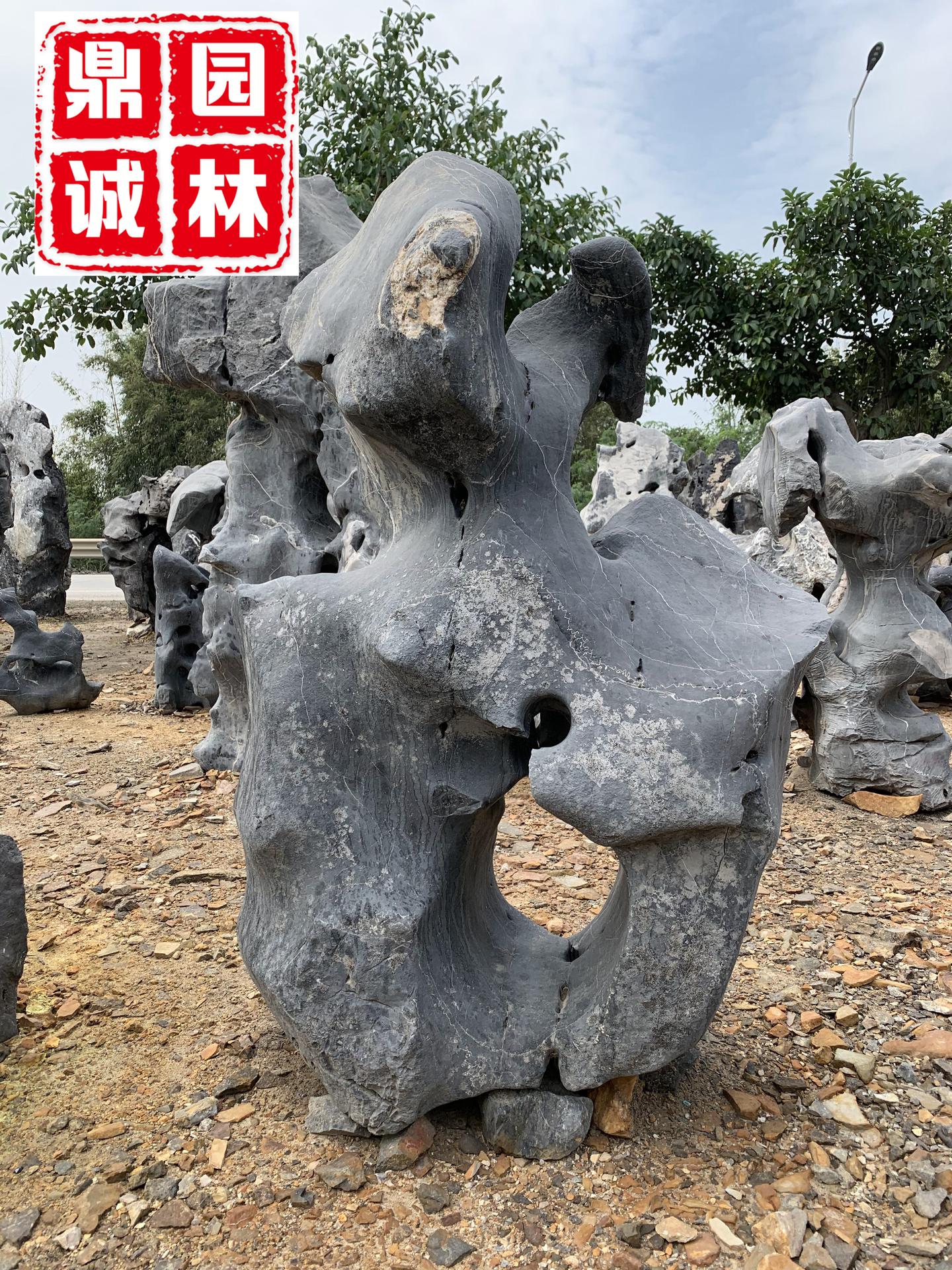 四大名石之一太湖石，有历史的韵味、历史的文化- 知乎