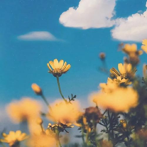 有没有什么惊艳的微信头像?-特别惊艳到人的微信头像