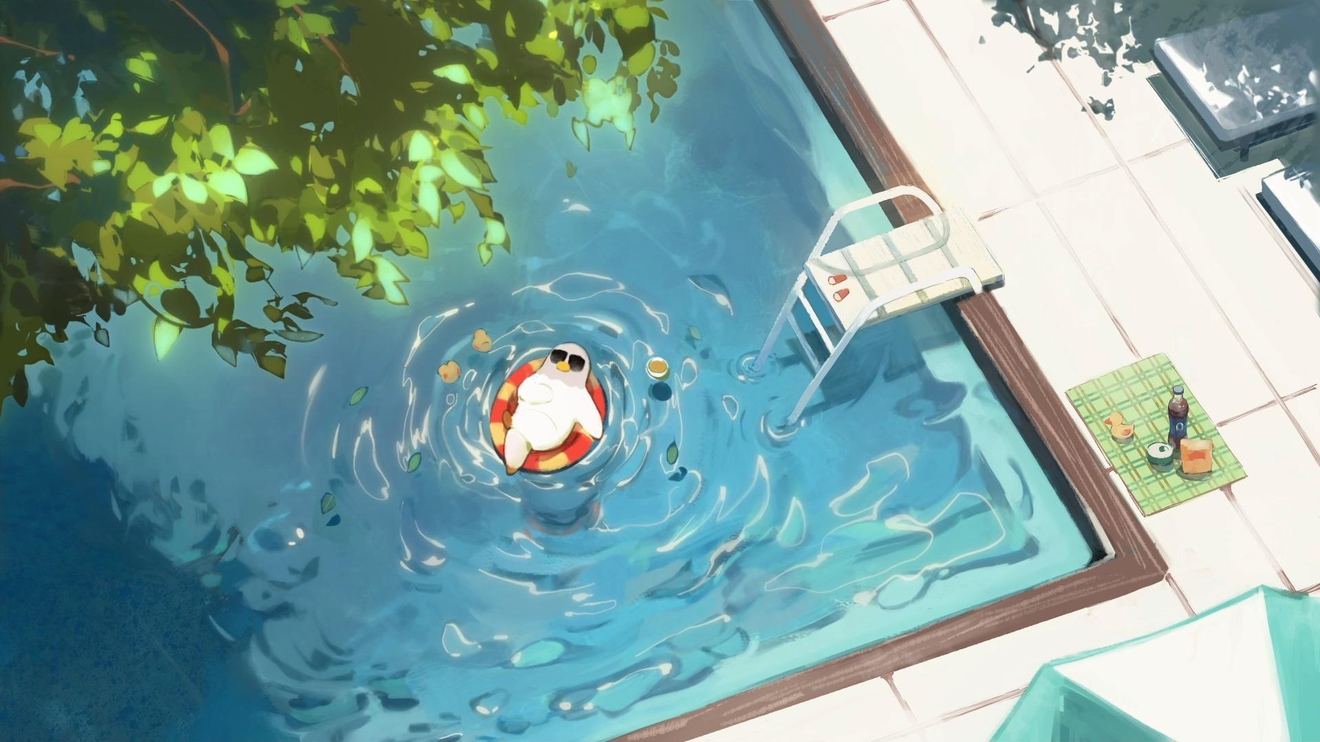 动态壁纸小鸽子飘飘