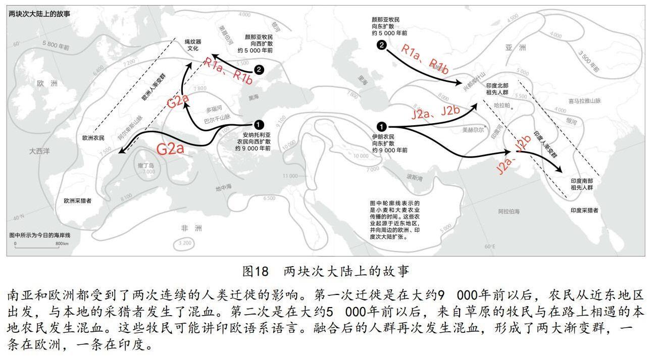犹太人跟巴勒斯坦人是一个祖先,那么巴勒斯坦人混进以色列做奸细会被