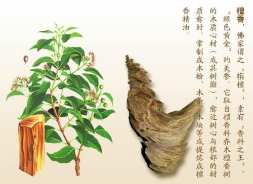 全面细说檀香旃檀一深度好文