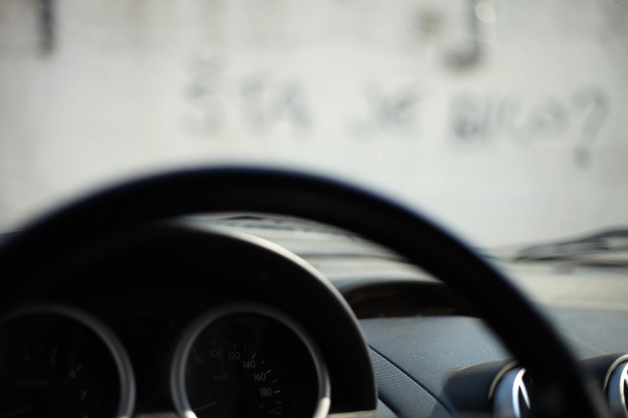 3. 丹东夜生活区域