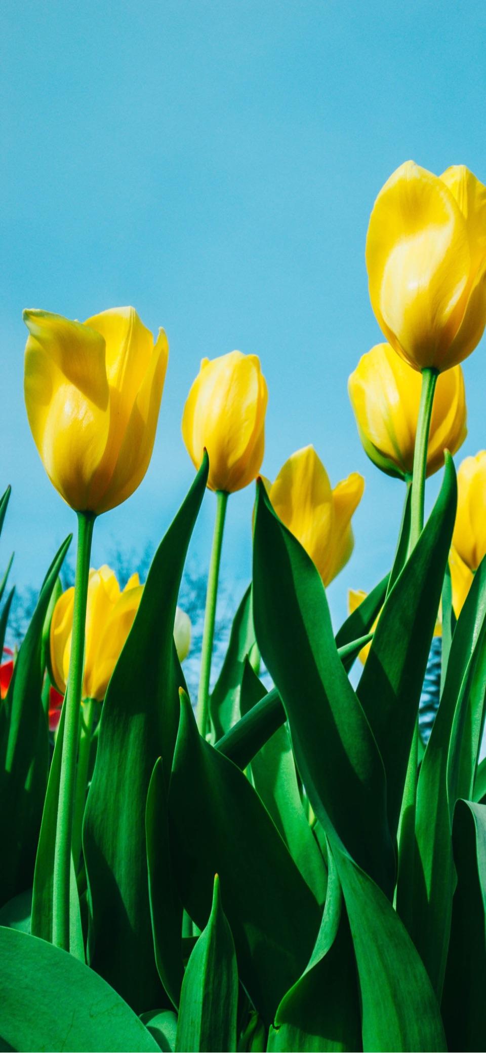 锁屏壁纸好看的有哪些?求图片?