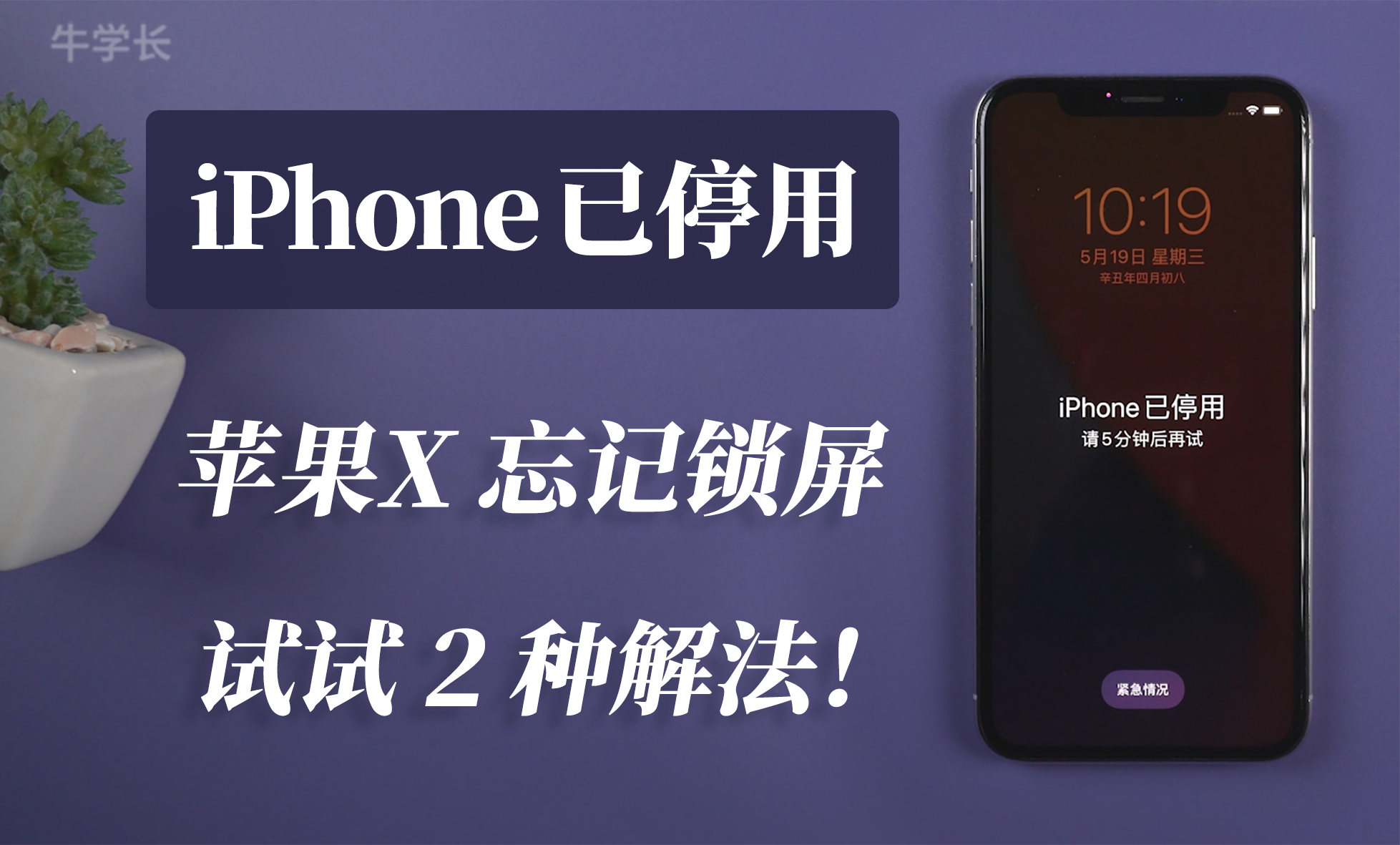 免费回拨电话网页怎么设置密码呢苹果 免费回拨电话网页怎么设置密码呢苹果