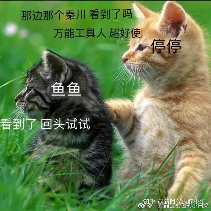 可以分享一些原耽的表情包吗