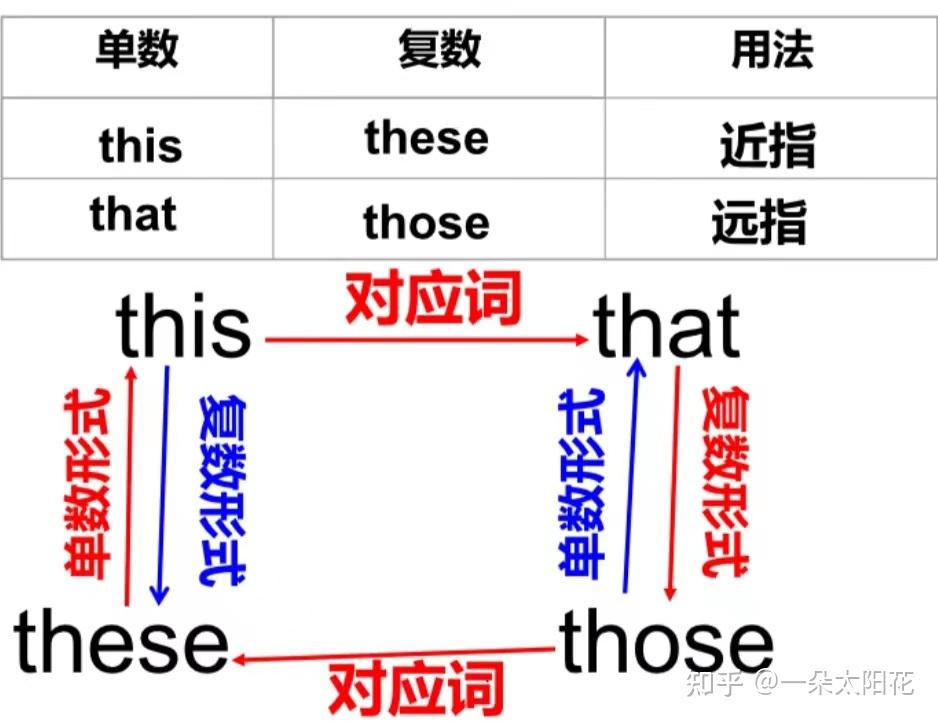 指示代词?物主代词?反身代词?这些你分得清楚吗? - 知乎