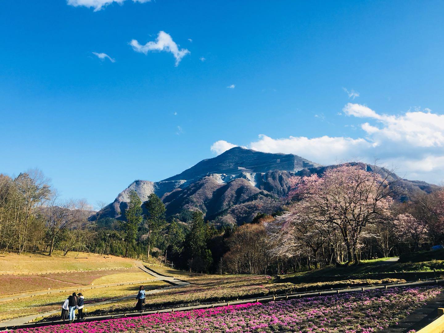 日本平成年代最后 雾の武甲山 知乎