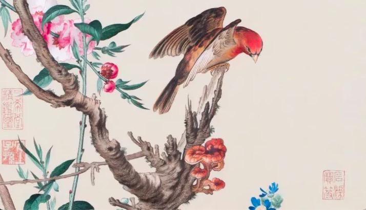 郎世宁花鸟图轴- 故宫博物院