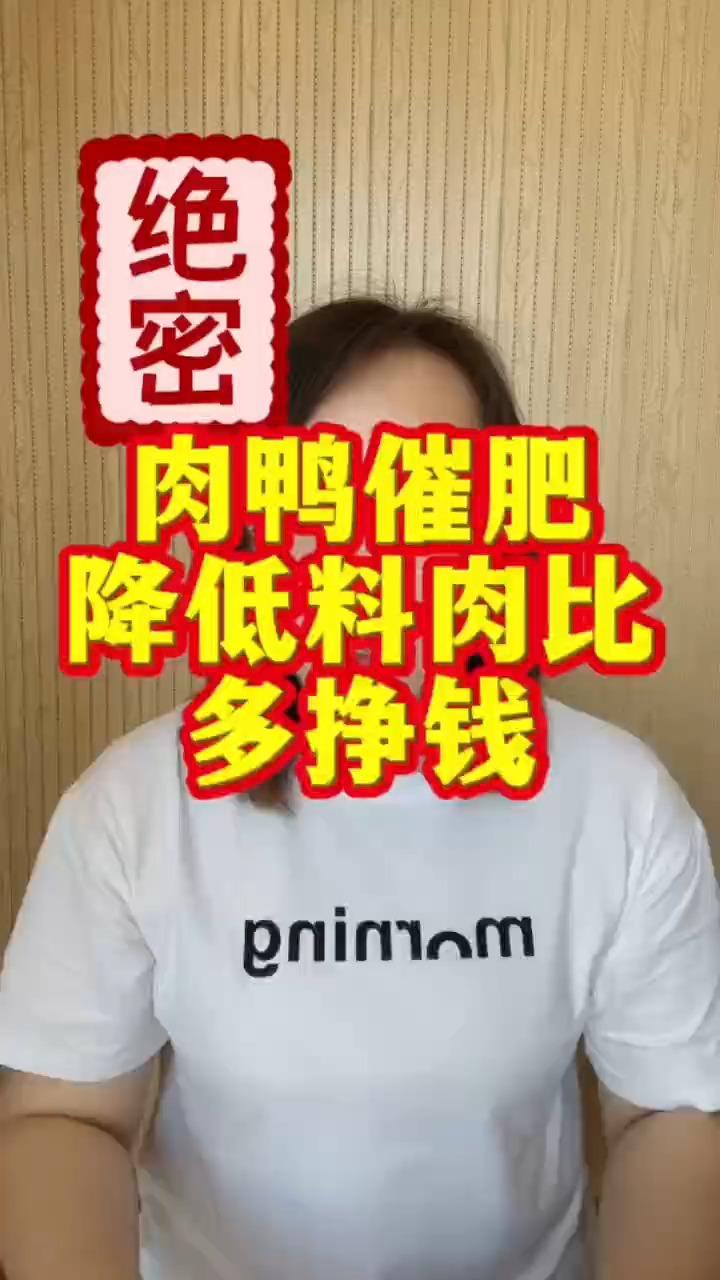 肉鸭料肉比图片