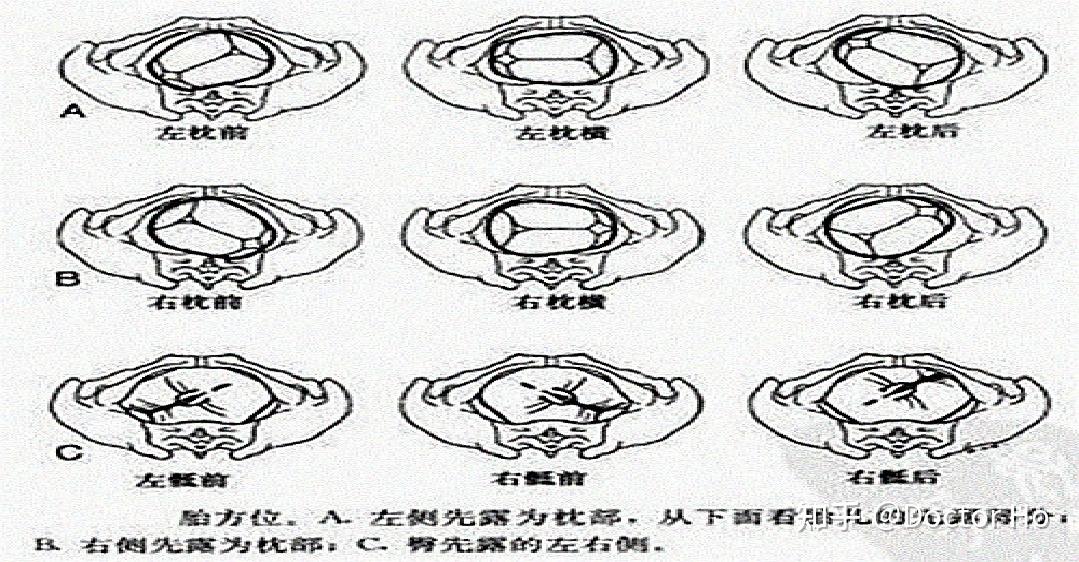 妇产科学（第九版）经验分享 - 知乎