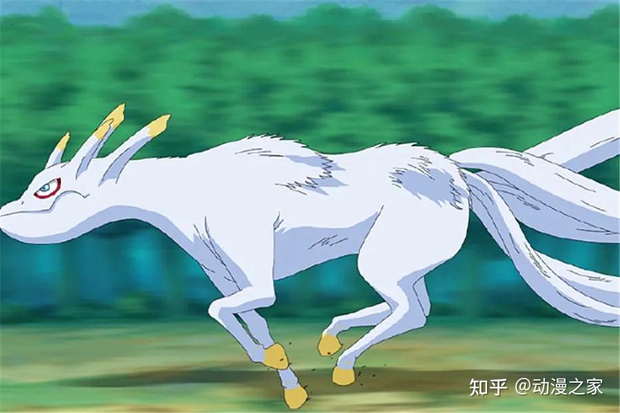历代9位火影和九大尾兽如何相配合适?四尾孙悟空终于有了如意棒 - 知乎
