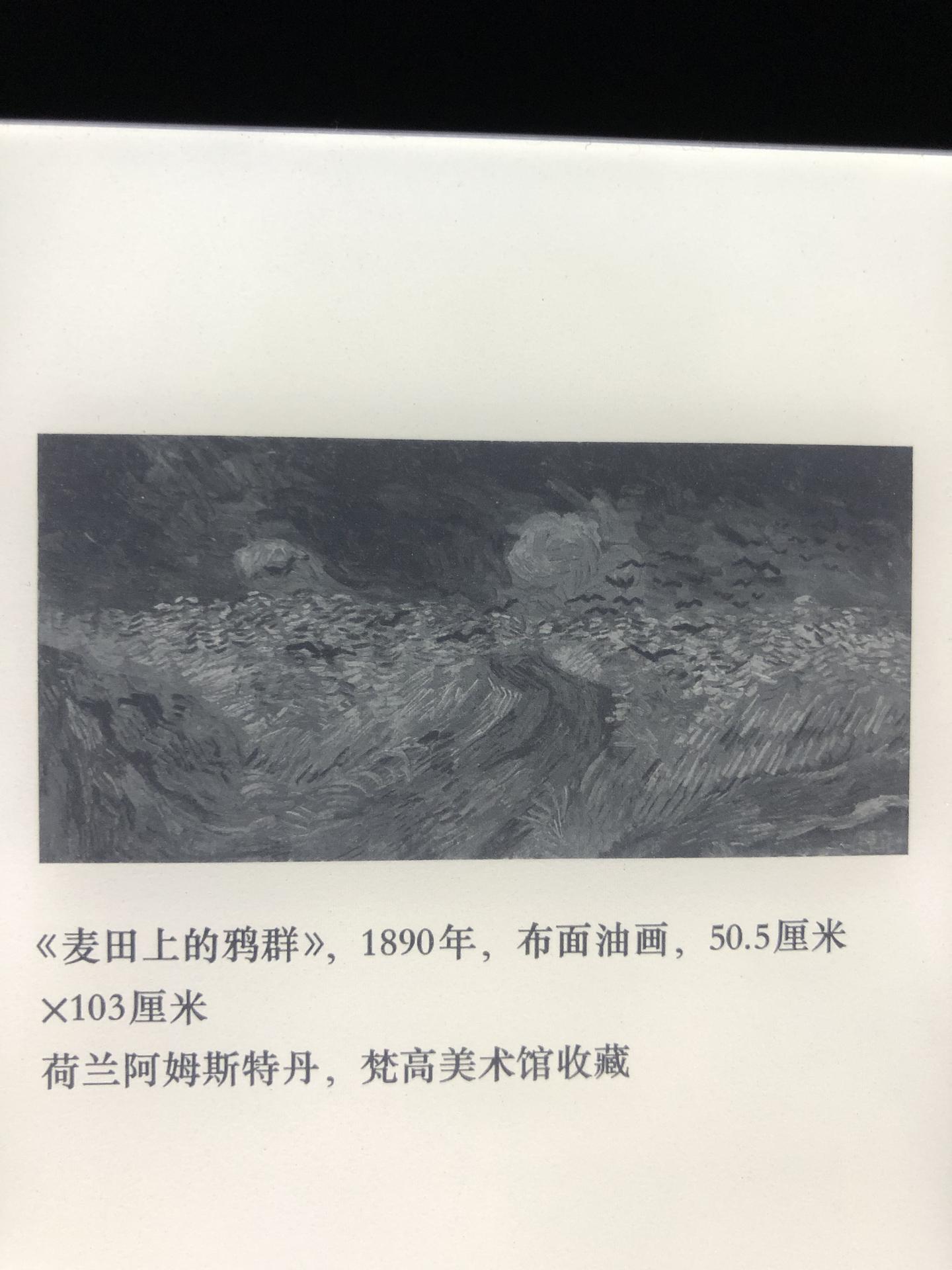 荷兰）文森特·梵高《亲爱的提奥》摘录：这个世界是鼠目寸光的- 知乎