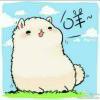 Zhihu profile picture for @isim
