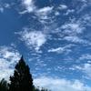 Como recuperar mi cuenta iCloud Comunidad de Apple