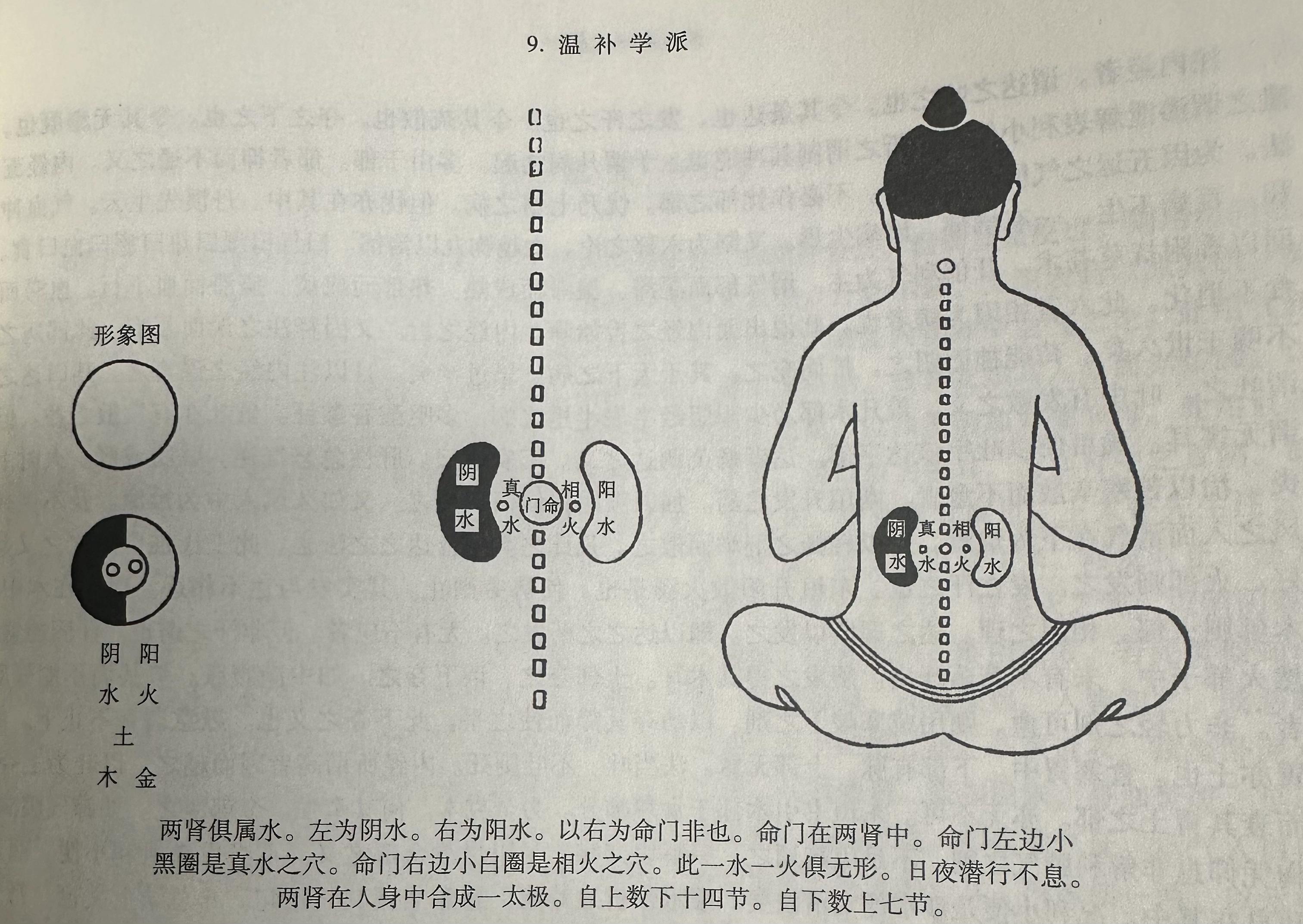 命门学说创始人——浙派大医赵献可 - 知乎