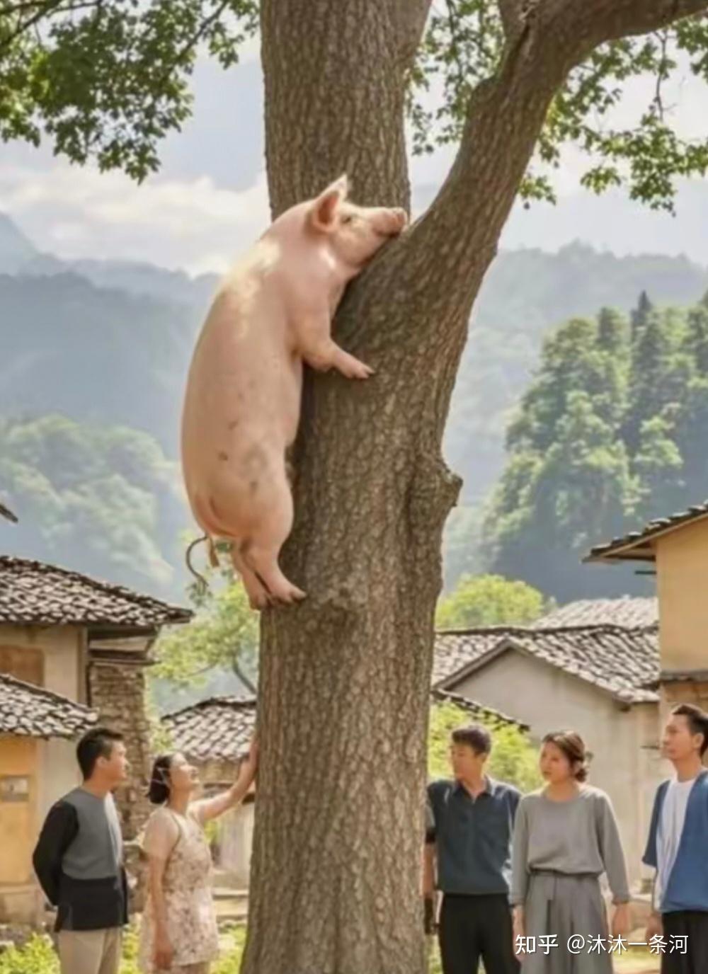 母猪会上树吗? - 知乎