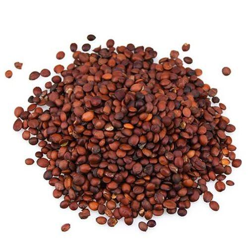 中药材酸枣仁的相关知识总结