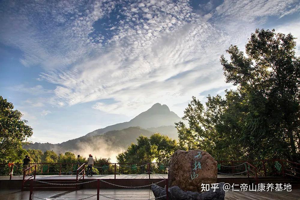 还在佛系养生? 现在都流行来海南康养旅游啦! - 知乎