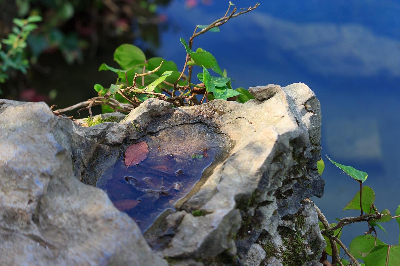 5. 优质教育资源