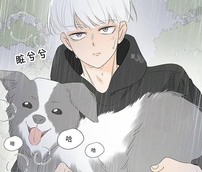 「漫画」盐友:白雪走丢 - 知乎