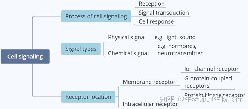再见，Cell signaling! - 知乎