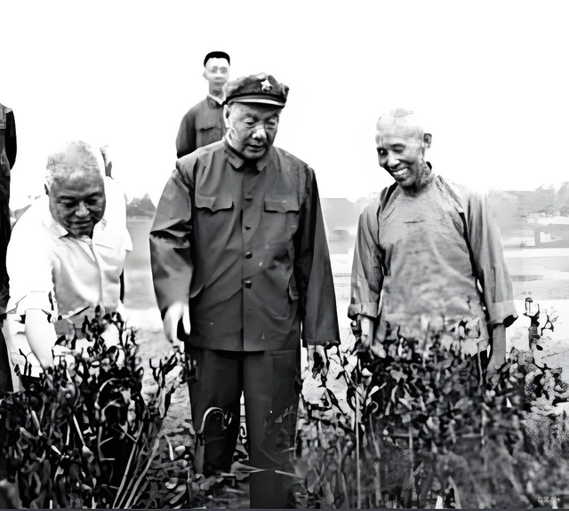 1959年,周小舟在庐山会议被免职后,由谁主政湖南?毛主席钦点一名爱将 - 知乎