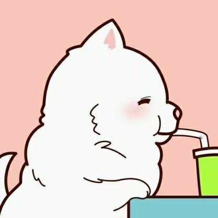 有没有萨摩耶可可爱爱的头像