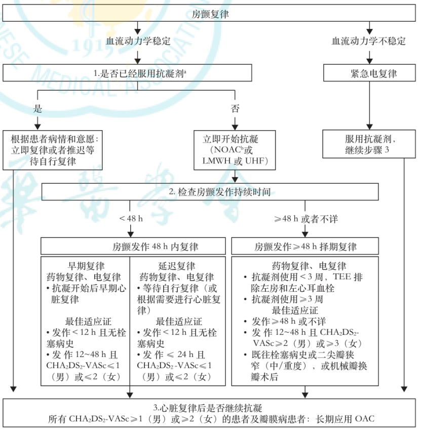 改良瓦氏动作原理图片