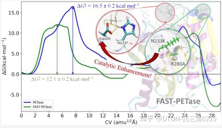 Petase Rational Design 提高FAST-PETase酶降解聚对苯二甲酸乙酯能力的计算模型研究 - 知乎