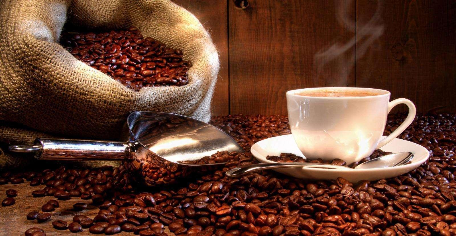 为什么咖啡比茶叶发现的晚反而咖啡却传播了全世界